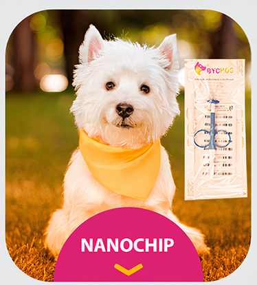 bychos-microchip-nanochip.png